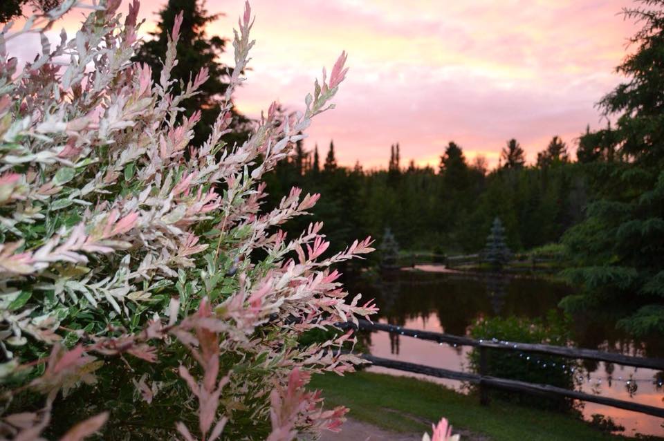 sunset river at grangeways campground